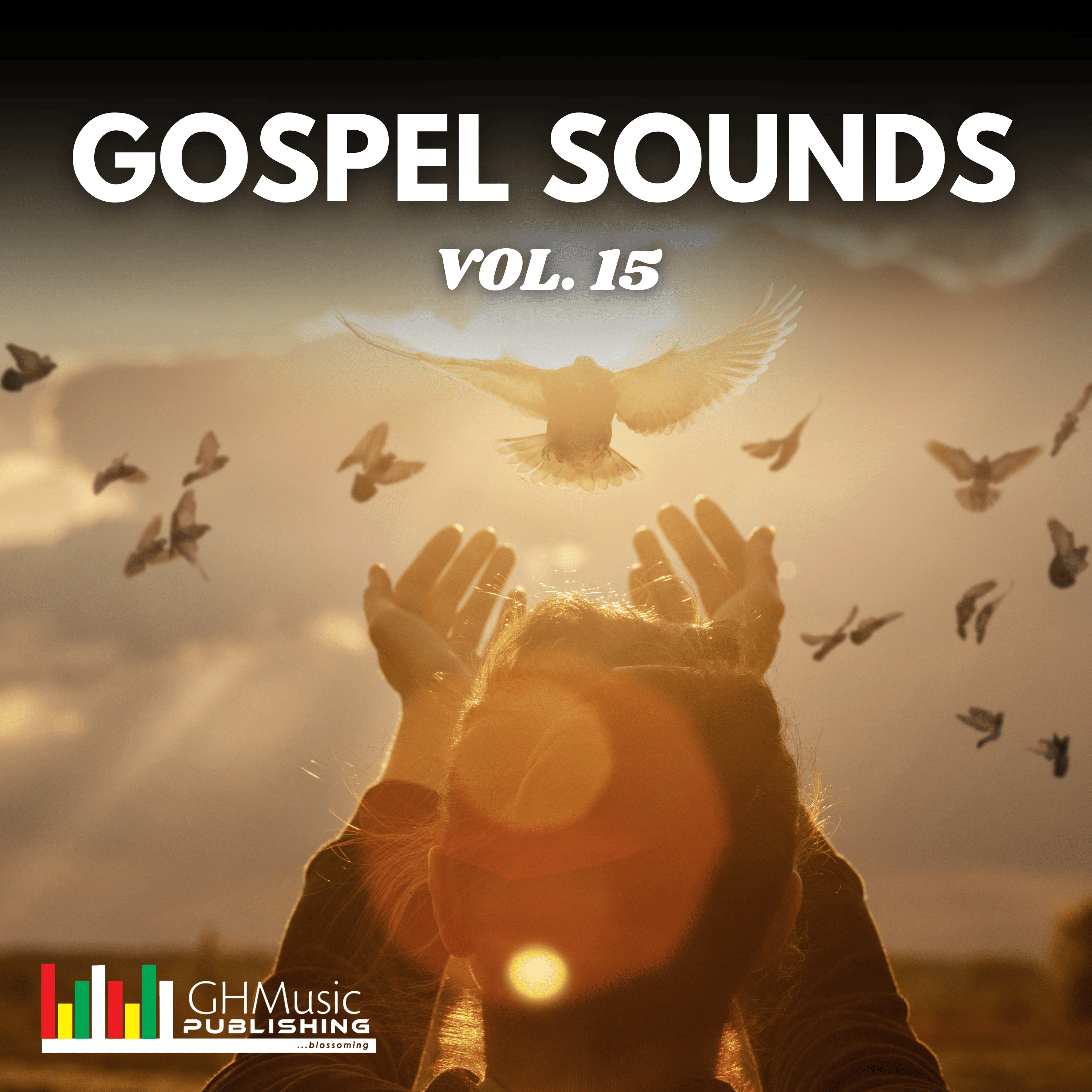 Gospel Sounds, Vol. 15