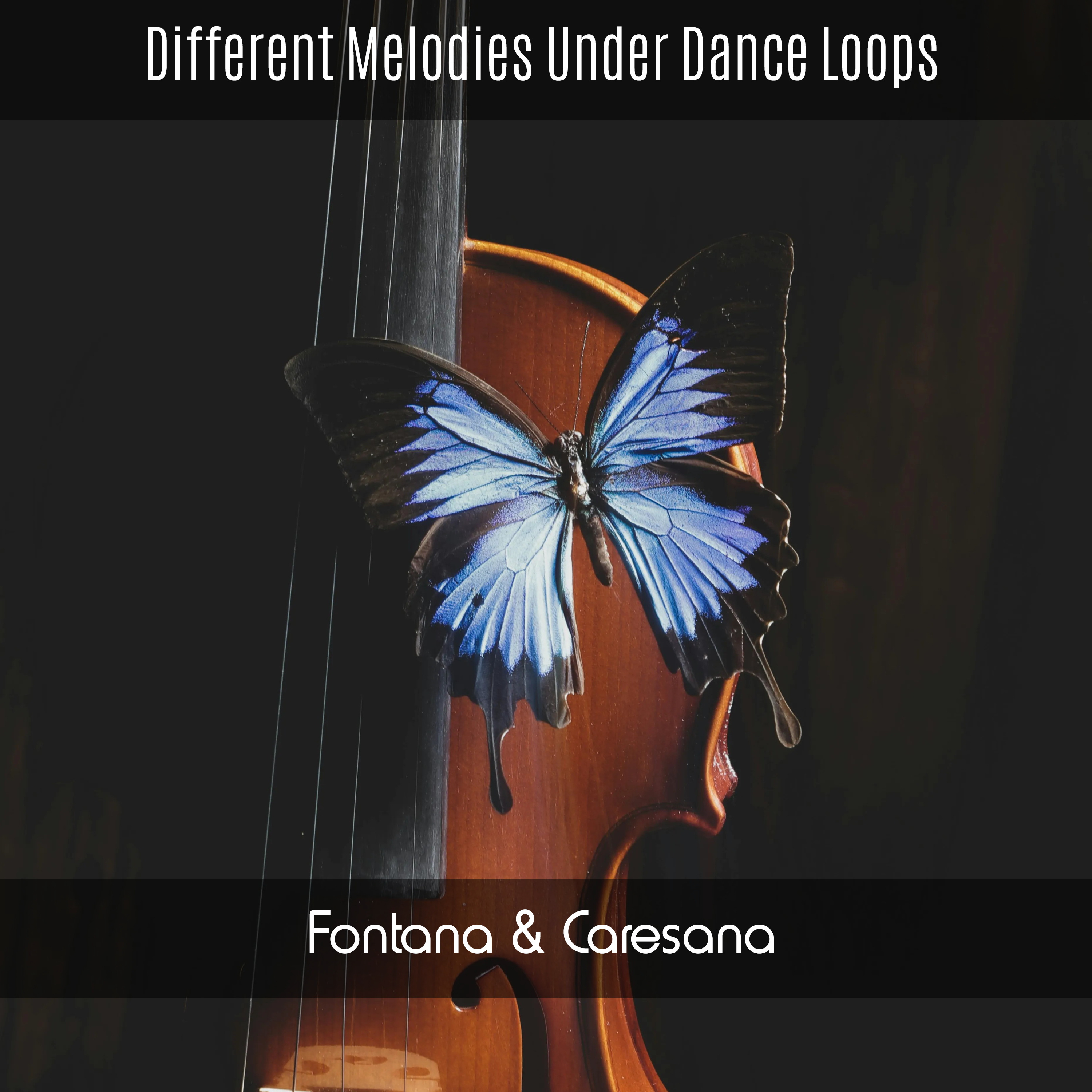 Different Melodies Under Dance Loops